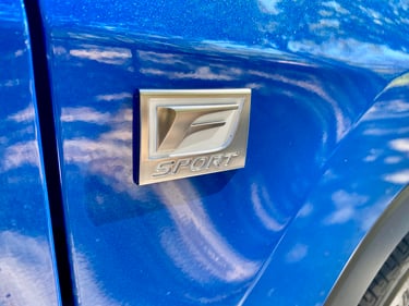 2022-LexusRX-350-F-Sport-badge-carprousa