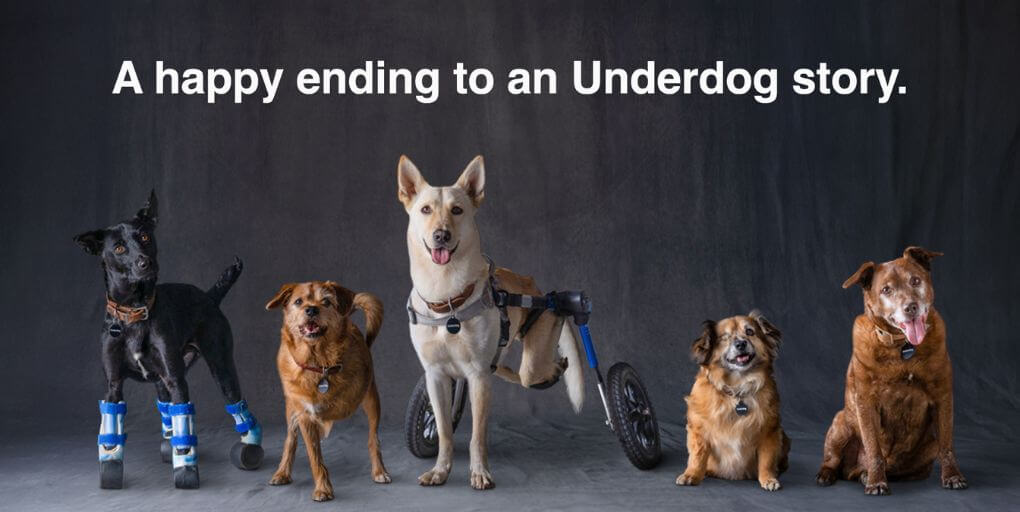 2024-subaru-underdogs-credit-subaru