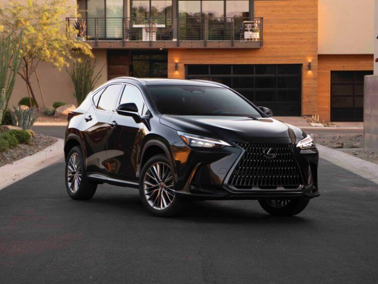 2026-Lexus-NX-caviar-credit-lexus