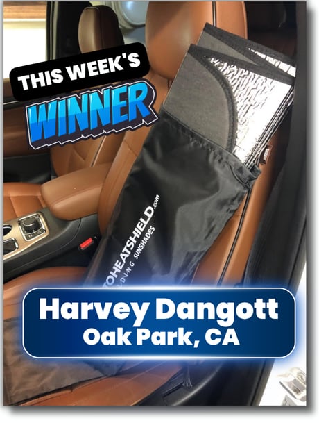 Harvey Dangott -winner-classic
