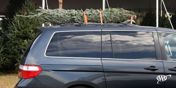 aaa-christmas-tree-transport-2019-credit