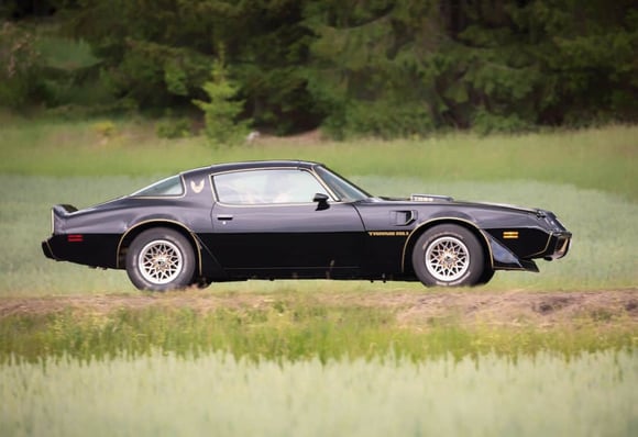 1969-trans-am-true-stories-car-dealer-shutterstock_666870037