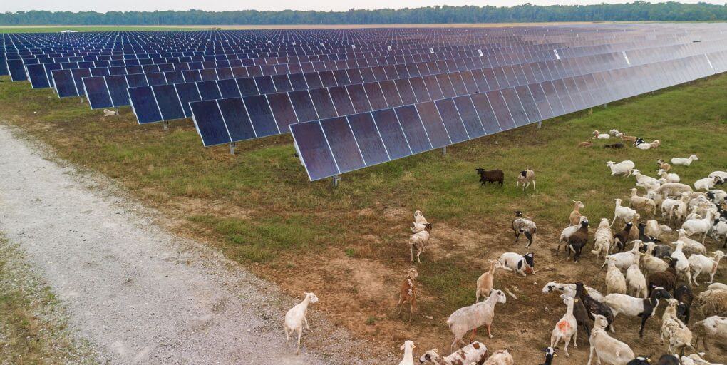 The Newport Solar project in Newport, Arkansas, supports GM’s electricity needs. General Motors.