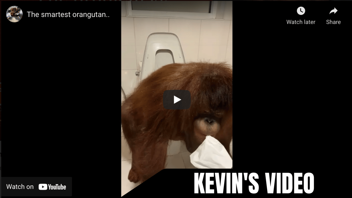 kevin-video-jan-21