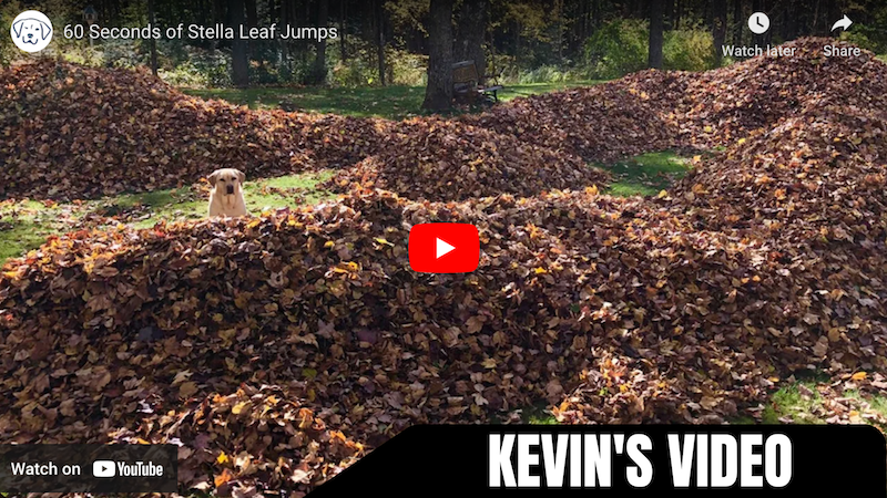 kevin-video-oct-7