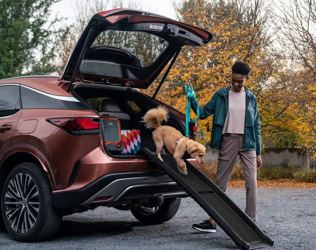 Lexus accessory products help pets ride in safety and style. Photo Credit. Lexus.