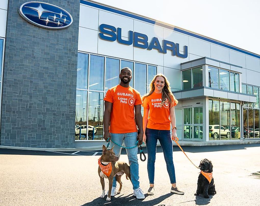 Subaru of America helped 47,000 shelter pets find homes during 2022 Subaru Loves Pets Month last October. Credit: Subaru.
