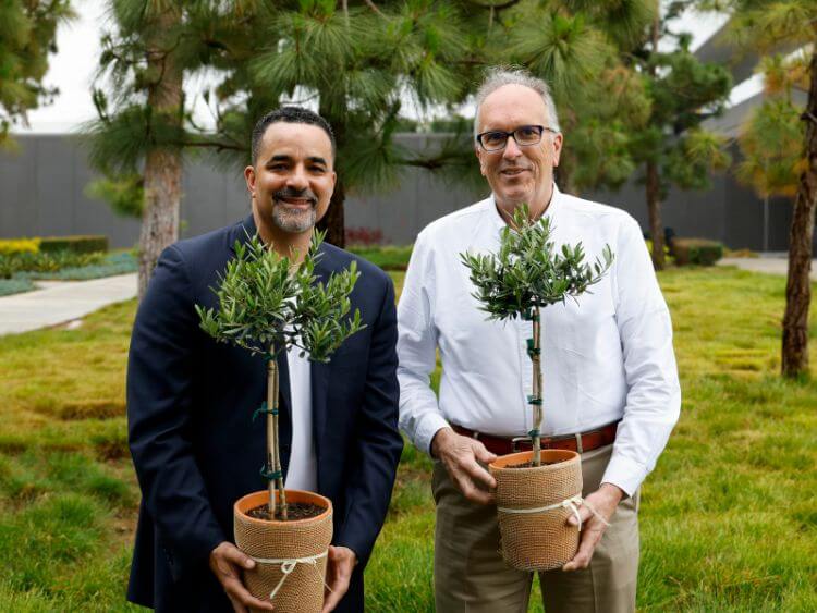 randy-parker-trees-hyundai (1)