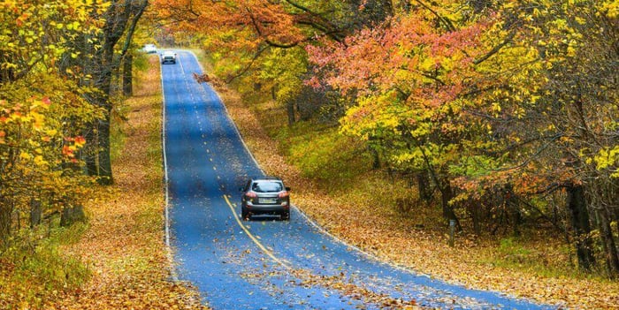 AAA: 55 Million Will Travel For Thanksgiving Holiday