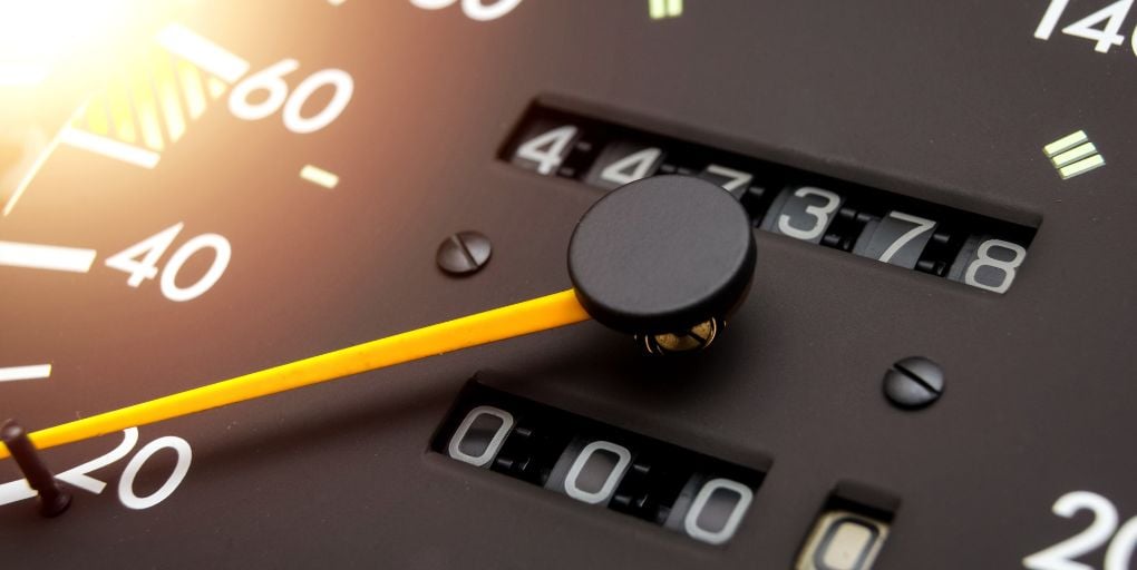 Photo Credit: ERIK Miheyeu/Shutterstock.