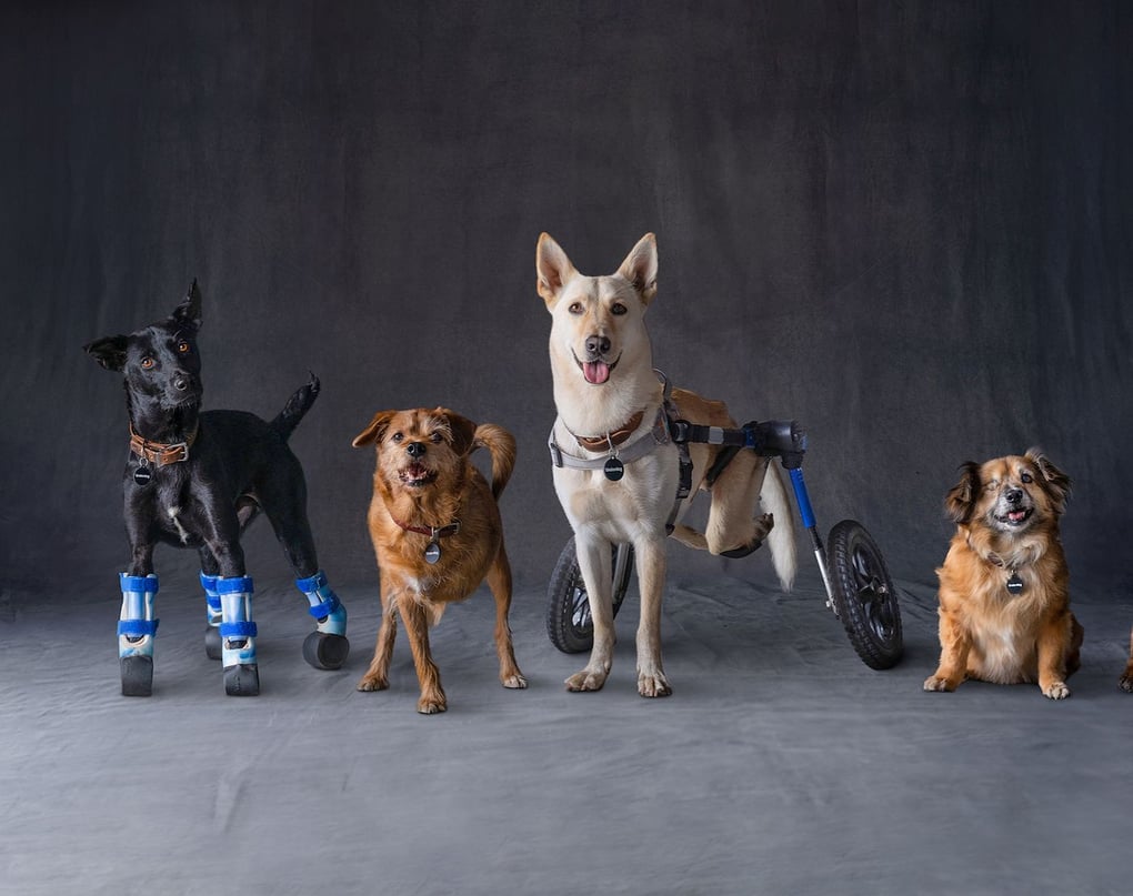 Photo Credit: Subaru.