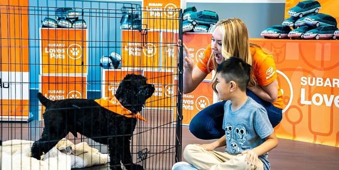 Way To Go Subaru!  52,000 Shelter Pets Have Homes