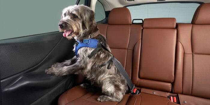 Subaru: Holiday Plans Are Going To The Dogs