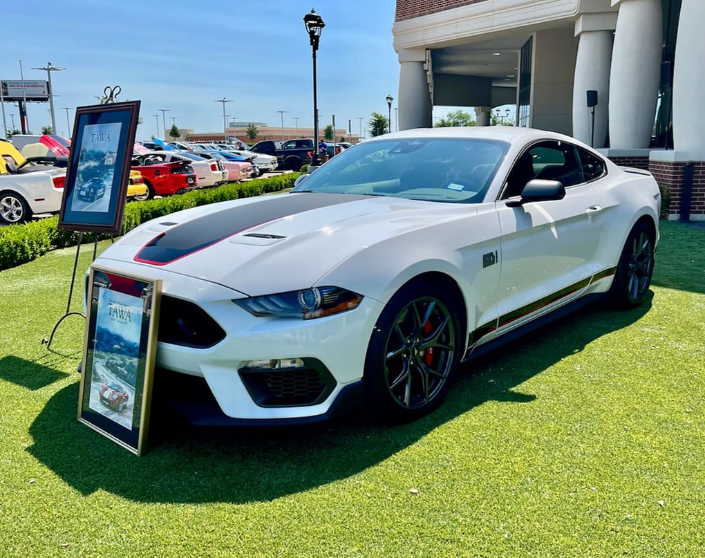 Terry Box Ford Mustang Mach-1